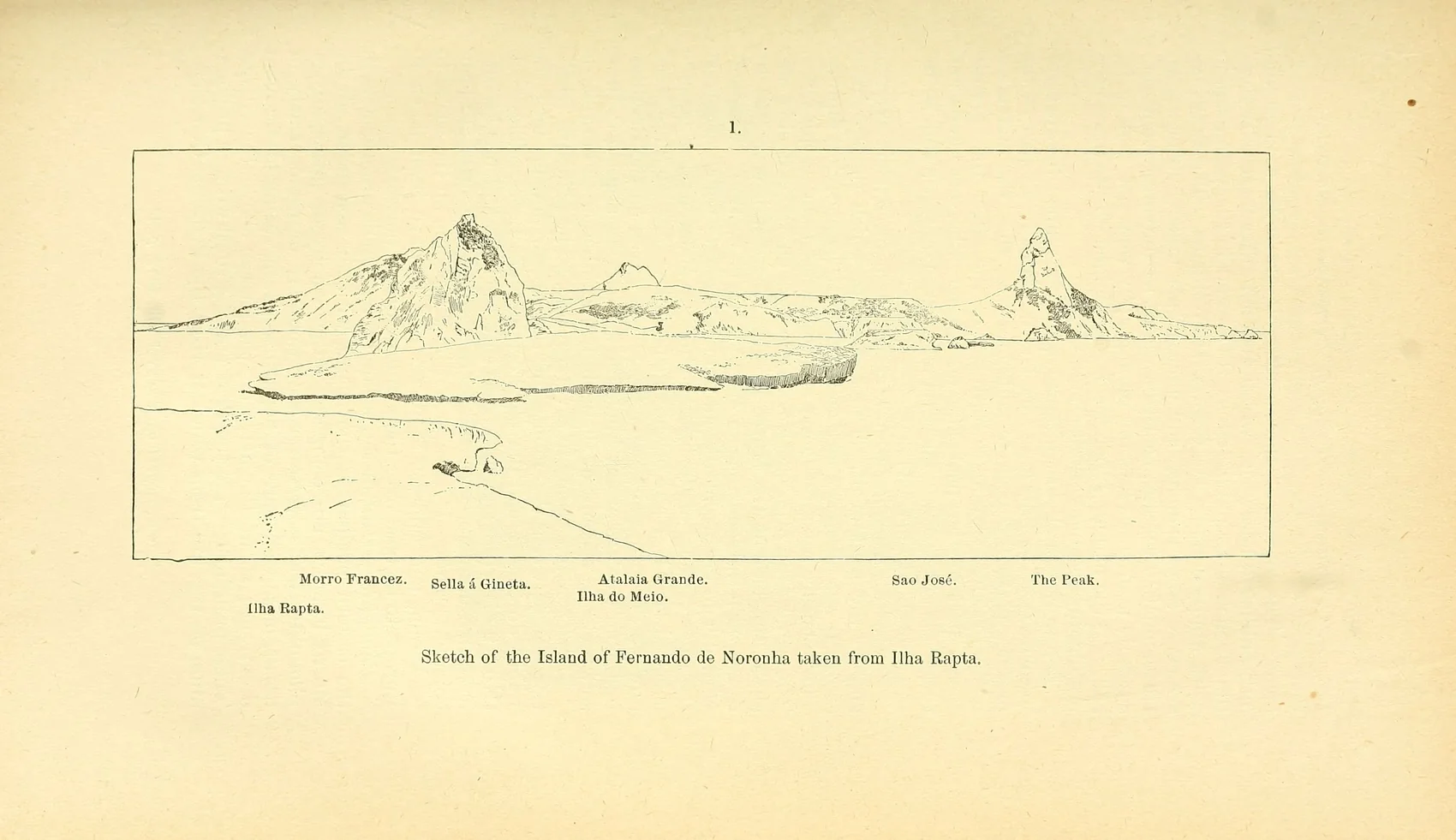 Profile of the island drawn from Ilha Rata in 1889